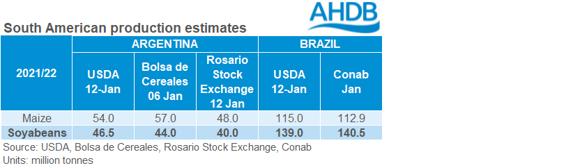 Table displaying USAD South American soy and maize production estimates vs local reporters